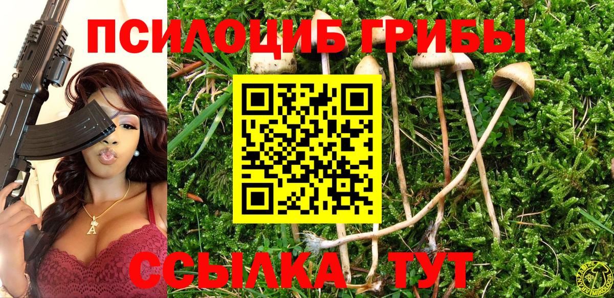 Галлюциногенные грибы прущие грибы  Вход с VPN  Губкин 