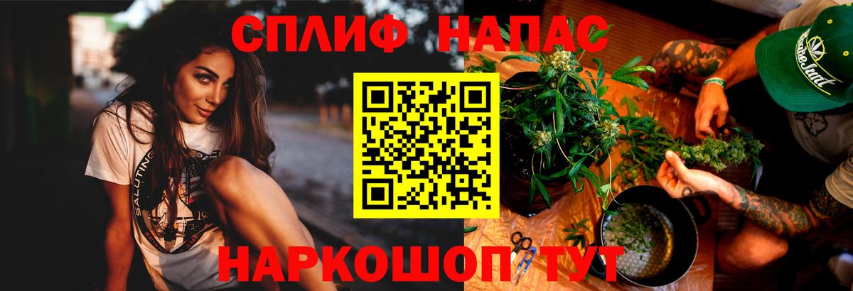 МАРИХУАНА сатива Губкин